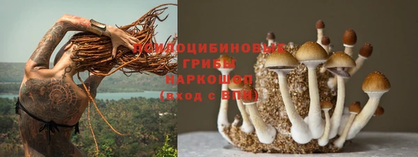 дурь Алексеевка