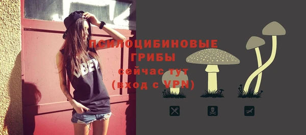 скорость Алзамай